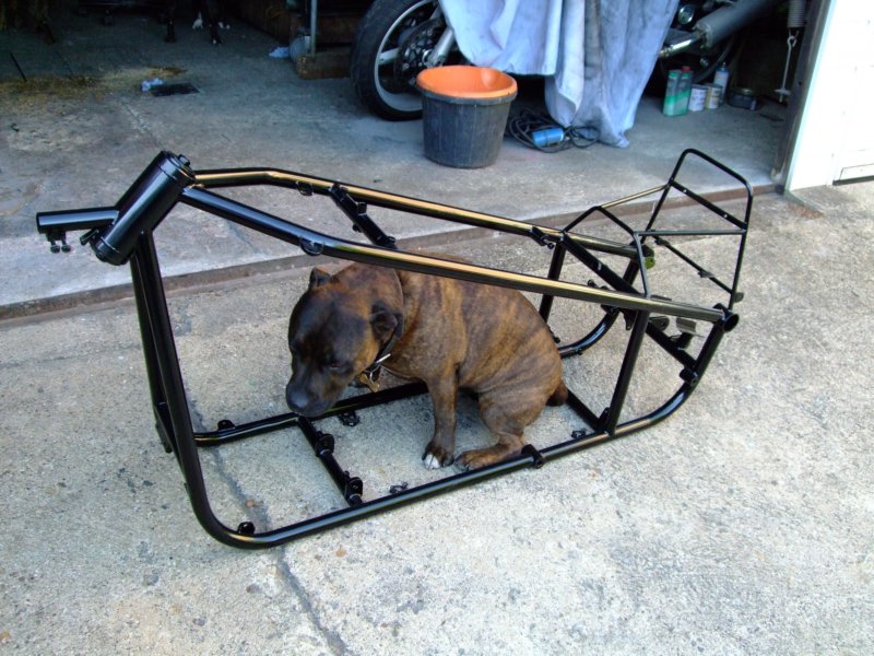frame10.jpg